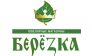 Берёзка